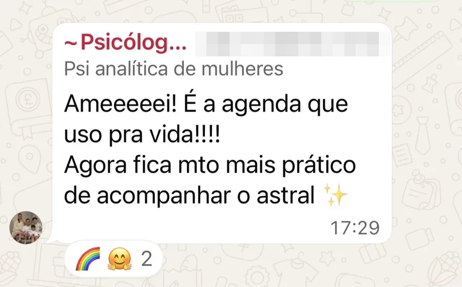 Depoimento: Ameeeeei! É a agenda que uso pra vida!